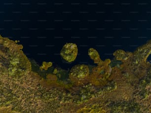 樹木に覆われたエリアの航空写真