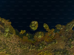 an aerial view of a tree covered area