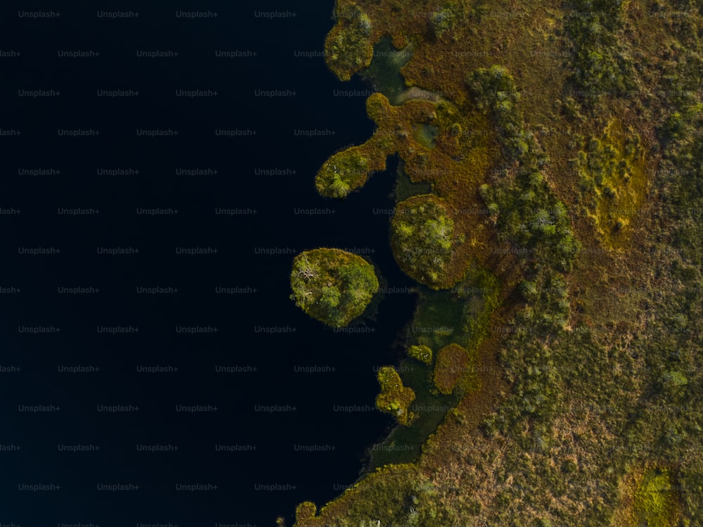 an aerial view of a lake surrounded by trees