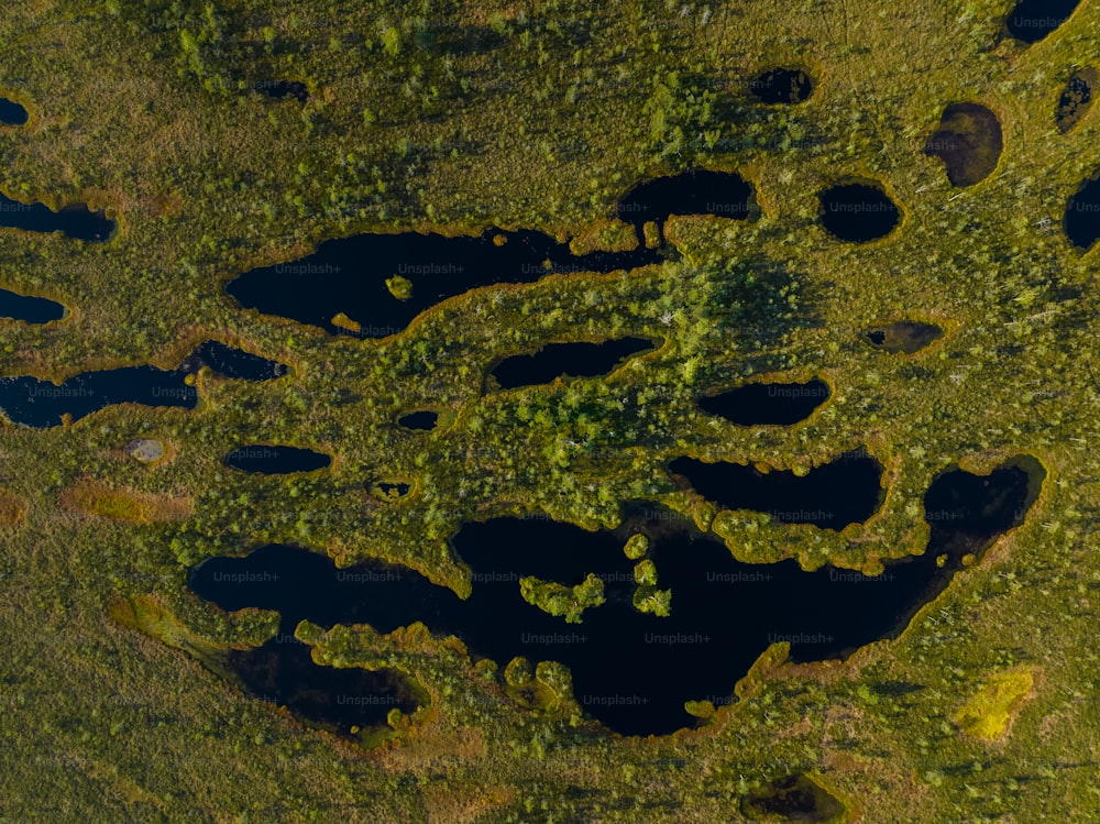 an aerial view of a lake surrounded by green grass