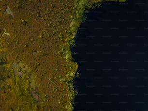 a large body of water surrounded by green grass