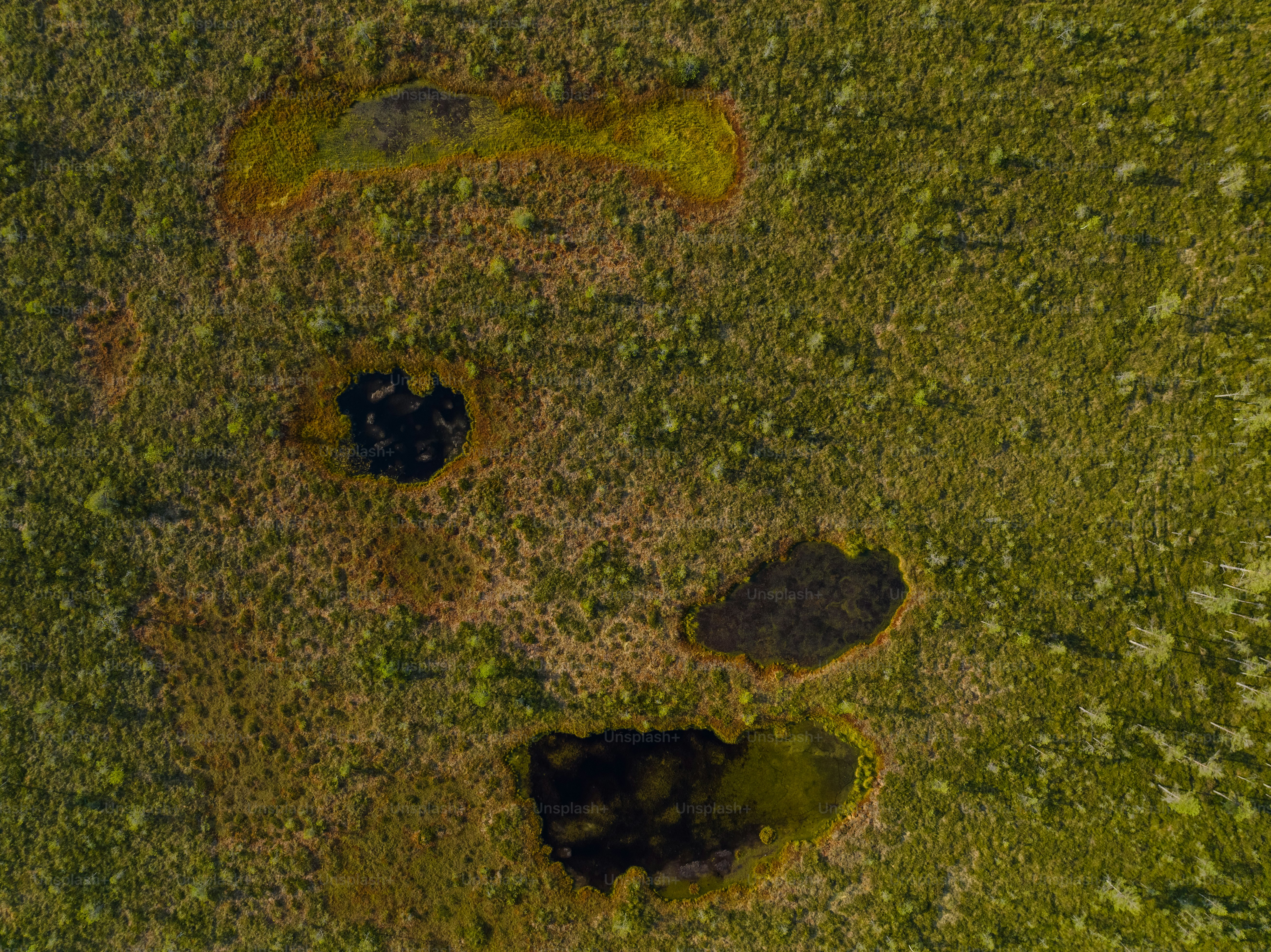 uma vista aérea de uma área gramada com um buraco no meio