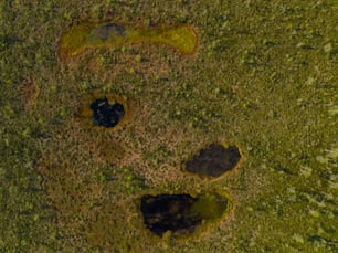 Una vista aérea de un área cubierta de hierba con un agujero en el medio