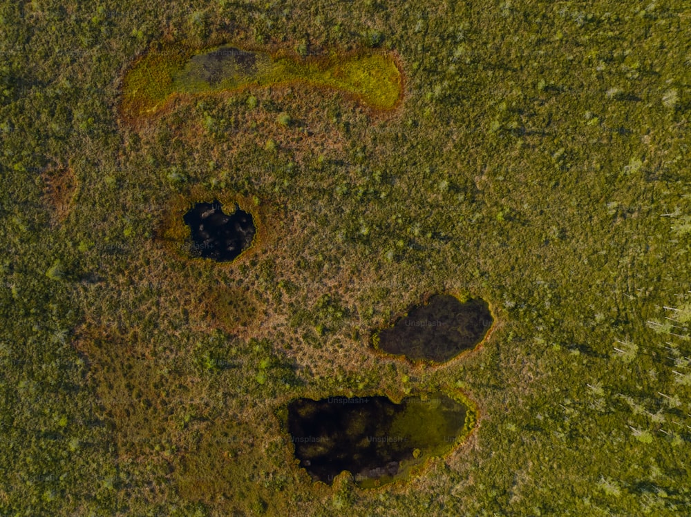 an aerial view of a grassy area with a hole in the middle