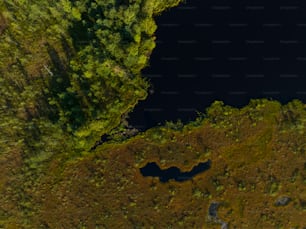 an aerial view of a body of water surrounded by trees