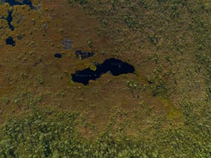 an aerial view of a lake surrounded by trees