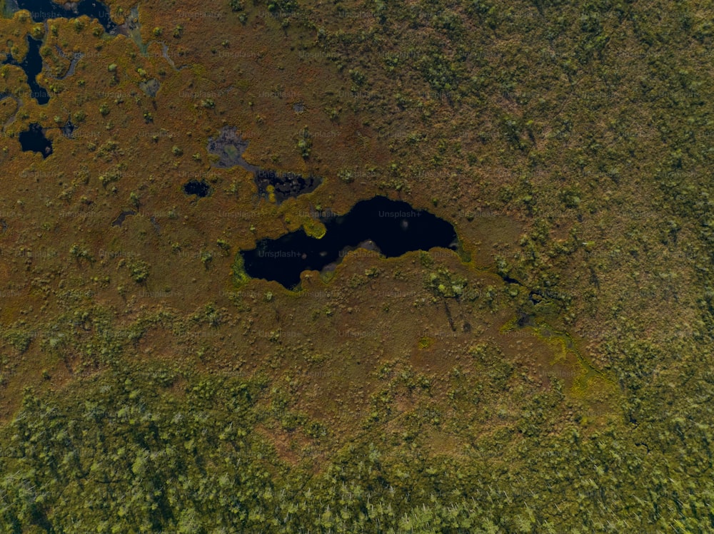 an aerial view of a lake surrounded by trees