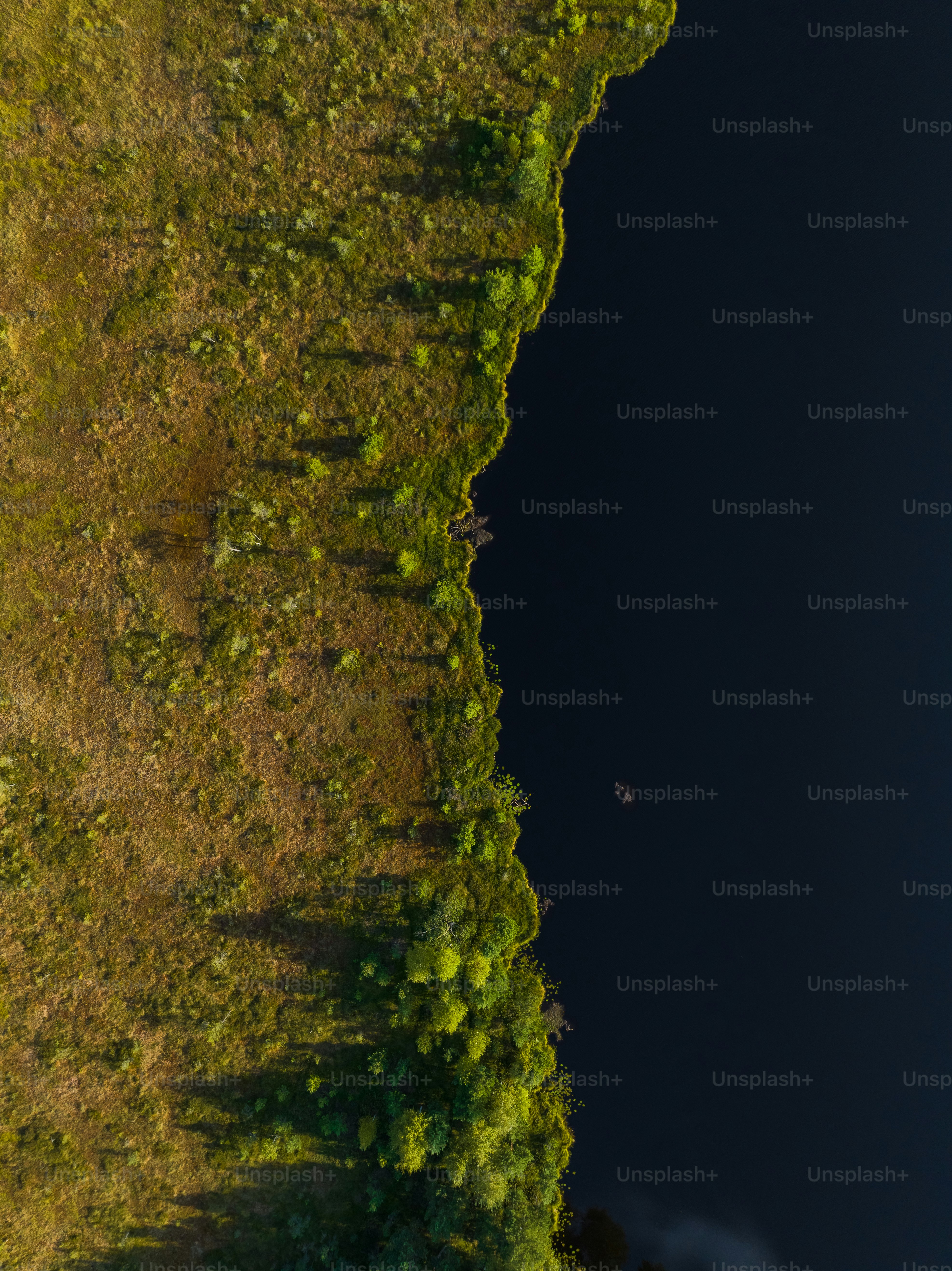 a bird's eye view of a grassy area next to a body of water