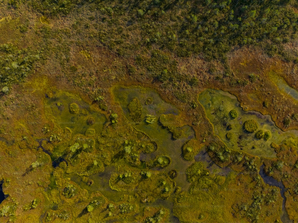 eine Luftaufnahme einer Rasenfläche mit Bäumen und Wasser
