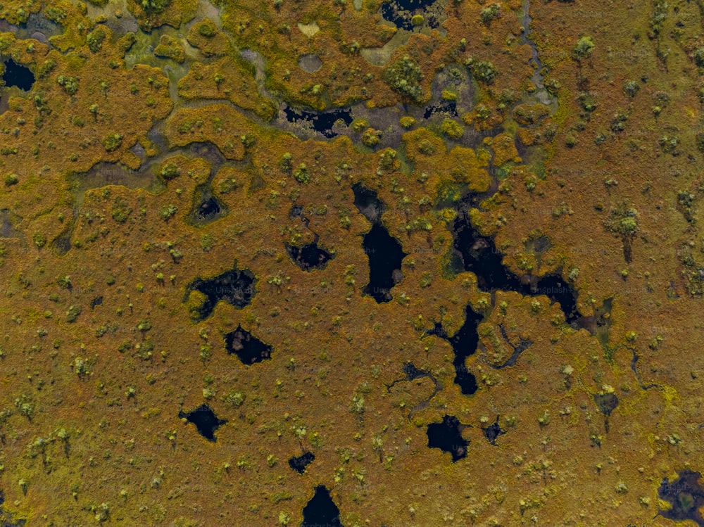 an aerial view of a patch of land