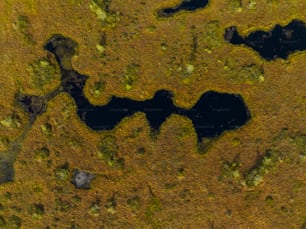 an aerial view of a lake surrounded by grass