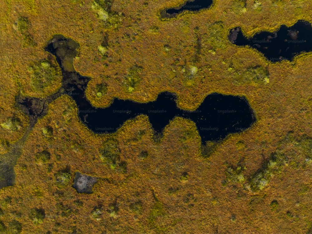 an aerial view of a lake surrounded by grass