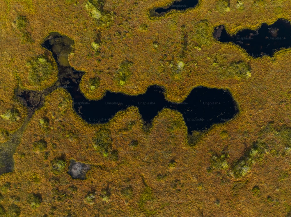une vue aérienne d’un lac entouré d’herbe
