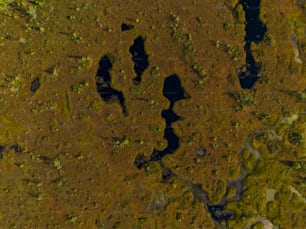 an aerial view of a grassy area with water
