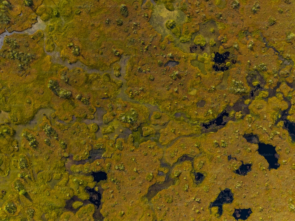 uma vista aérea de uma área gramada com um rio correndo por ela
