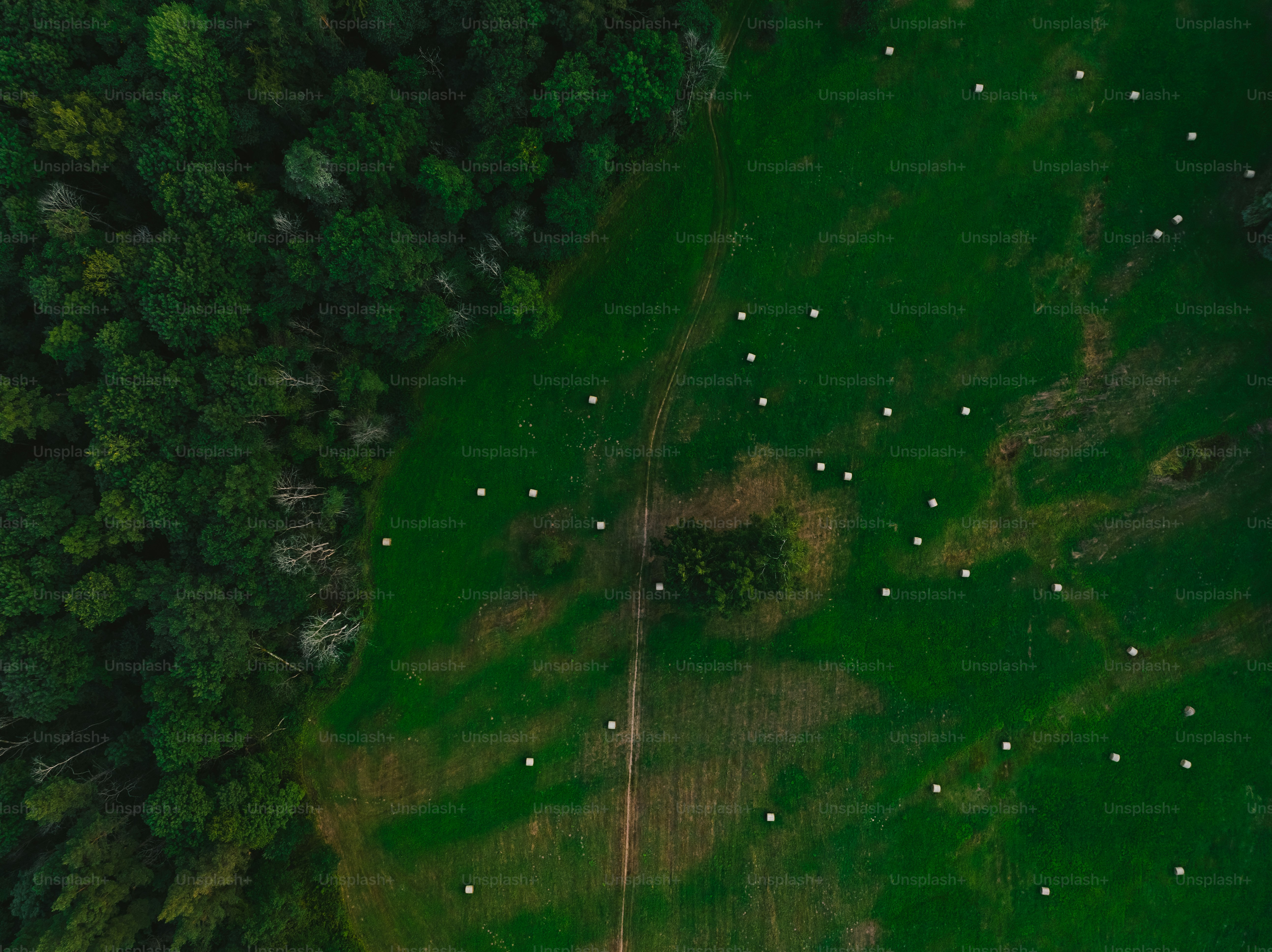an aerial view of a lush green field