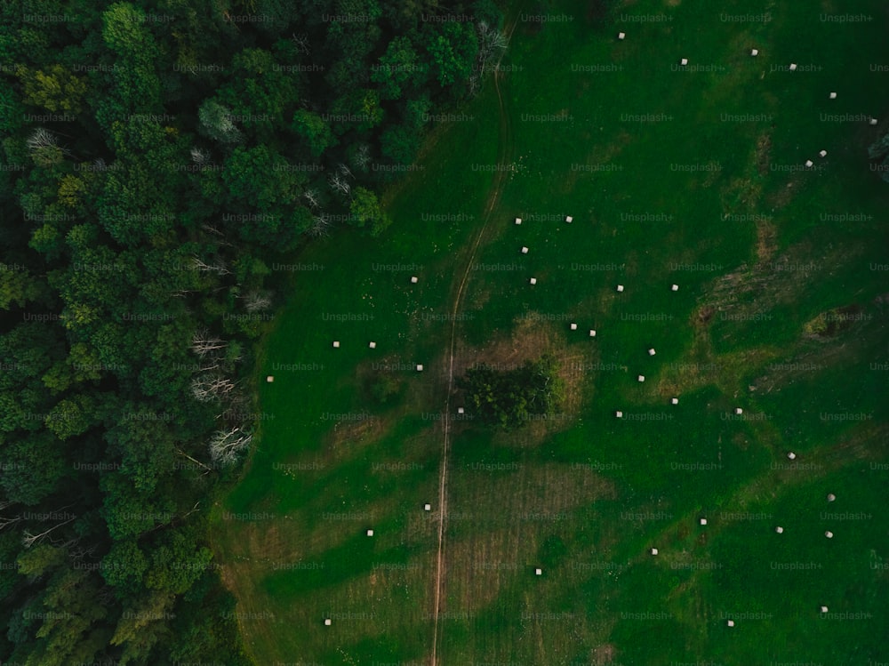 an aerial view of a lush green field