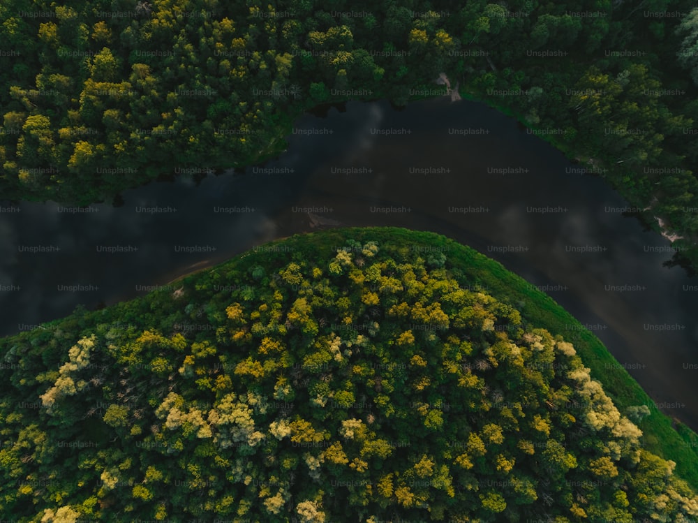 an aerial view of a lush green forest