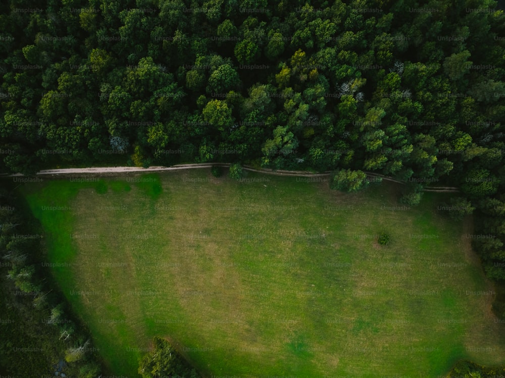 an aerial view of a lush green field