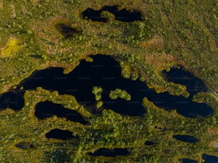 an aerial view of a lake surrounded by trees