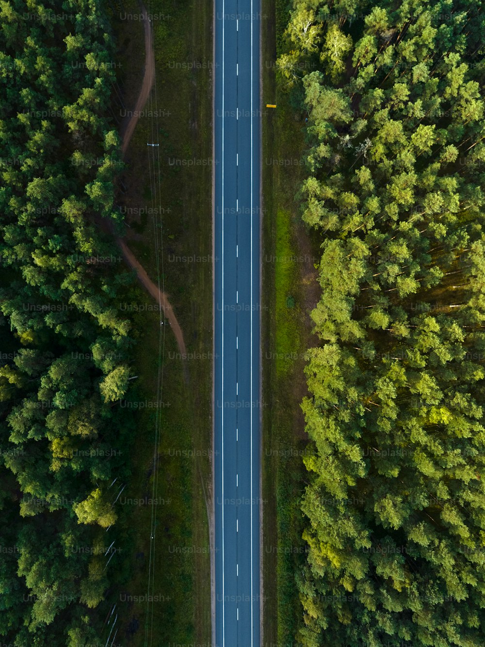 Una veduta aerea di una strada nel mezzo di una foresta