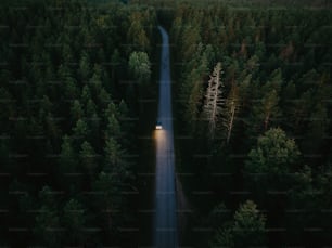 a car driving down a road in the middle of a forest