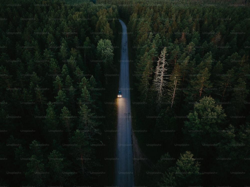 a car driving down a road in the middle of a forest