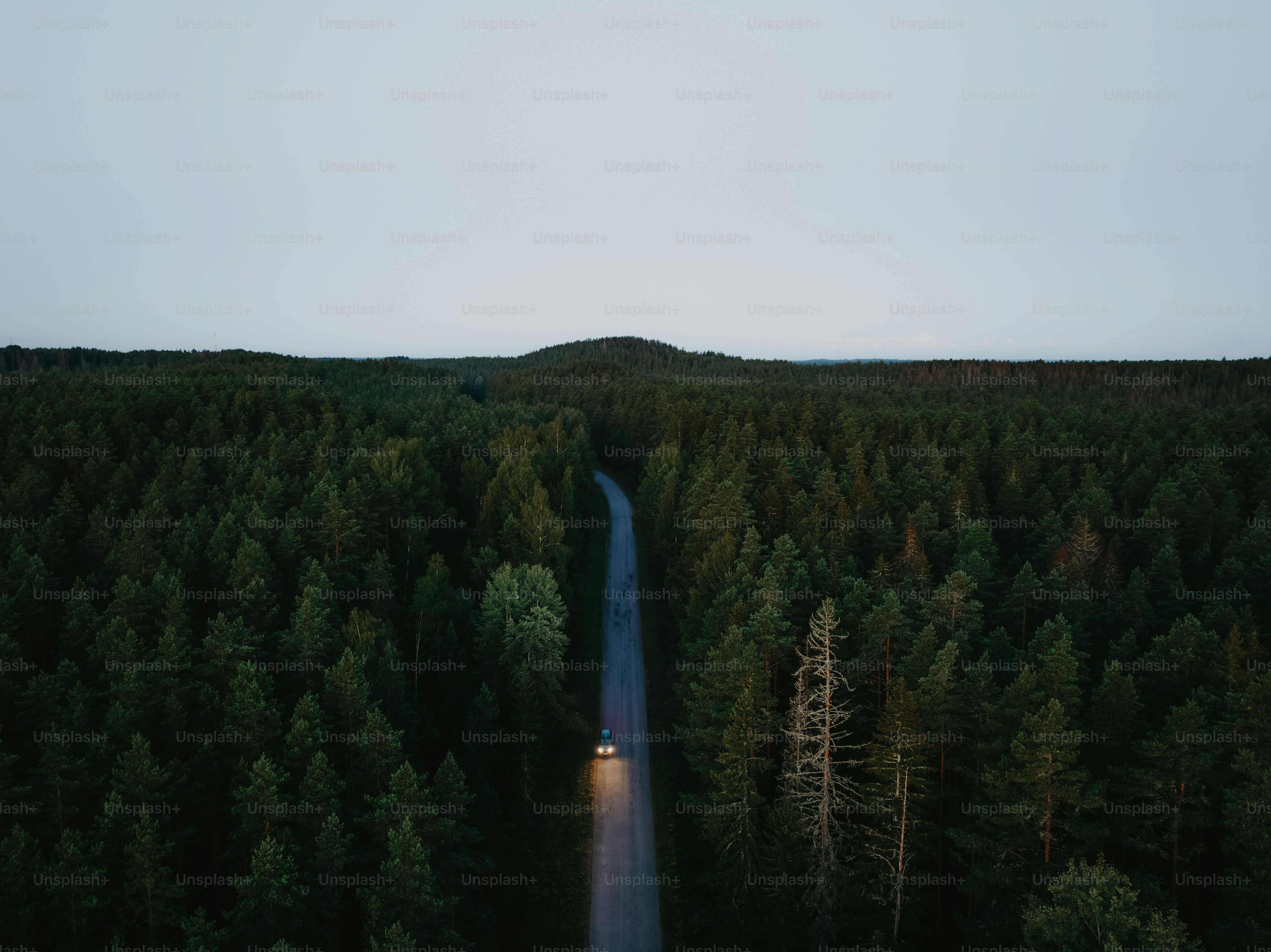 a car driving down a road in the middle of a forest