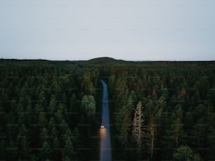 a car driving down a road in the middle of a forest