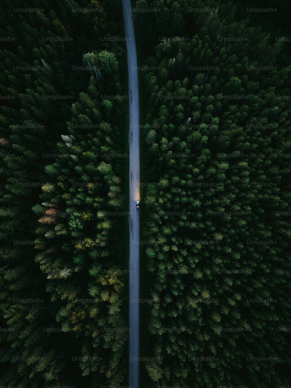 an aerial view of a road in the middle of a forest