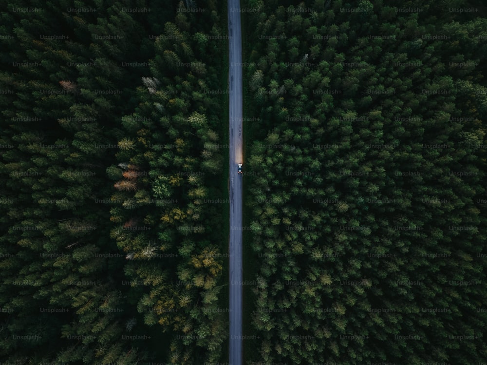 an aerial view of a road in the middle of a forest