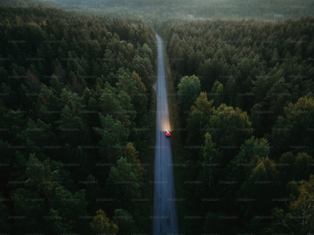 a car driving down a road in the middle of a forest