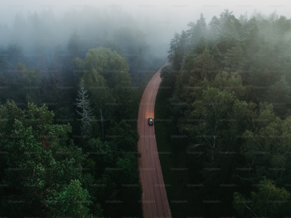 um carro dirigindo por uma estrada no meio de uma floresta