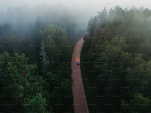 a car driving down a road in the middle of a forest