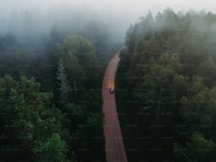 Un coche conduciendo por una carretera en medio de un bosque