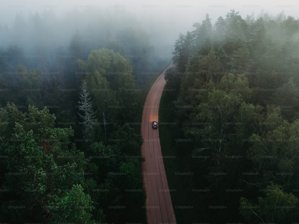 a car driving down a road in the middle of a forest