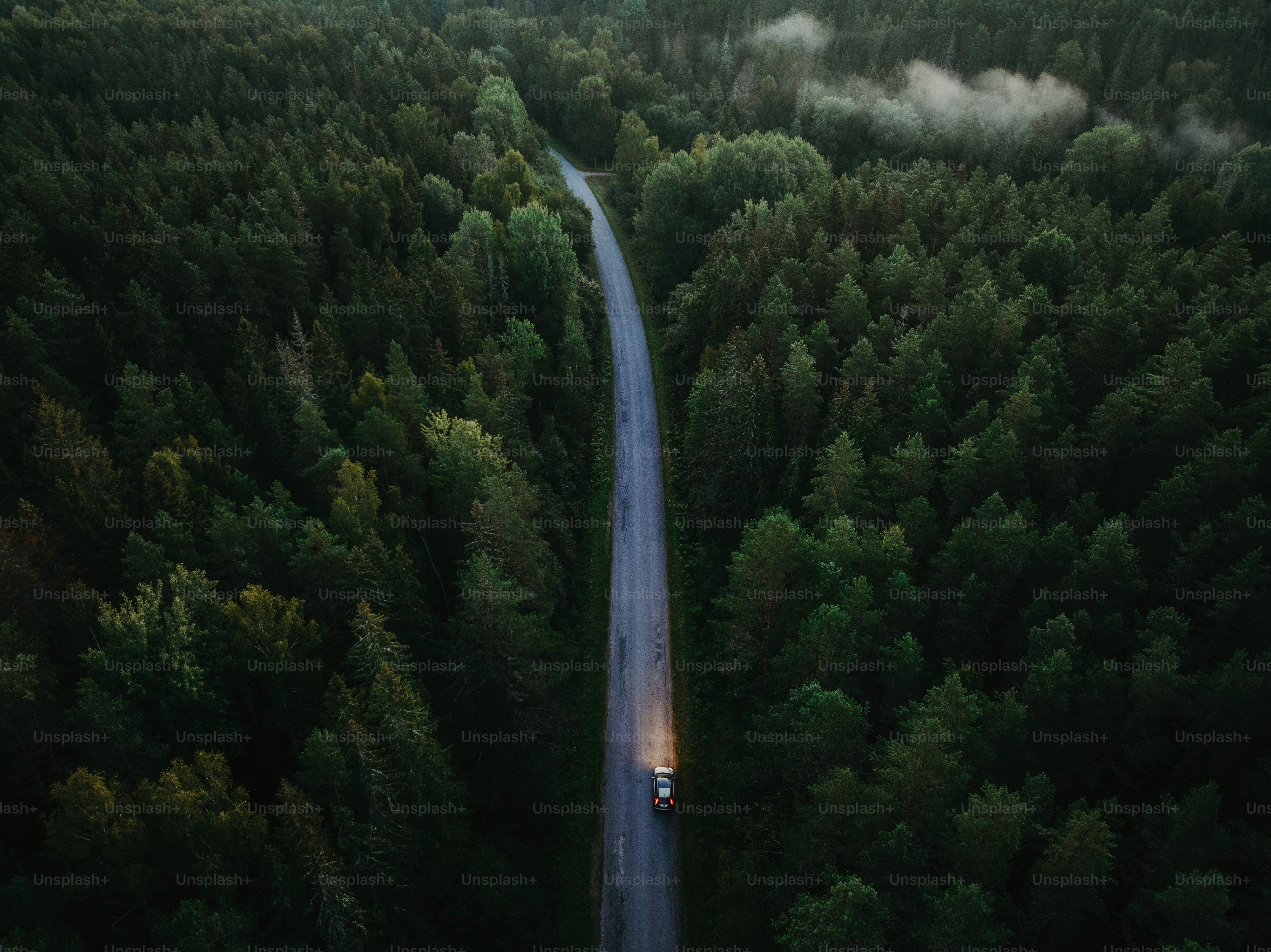 Agtech firm Nature’s Miracle launches $20M XRP treasury, eyes long-term yield generation via staking