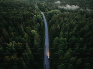 um carro dirigindo por uma estrada no meio de uma floresta
