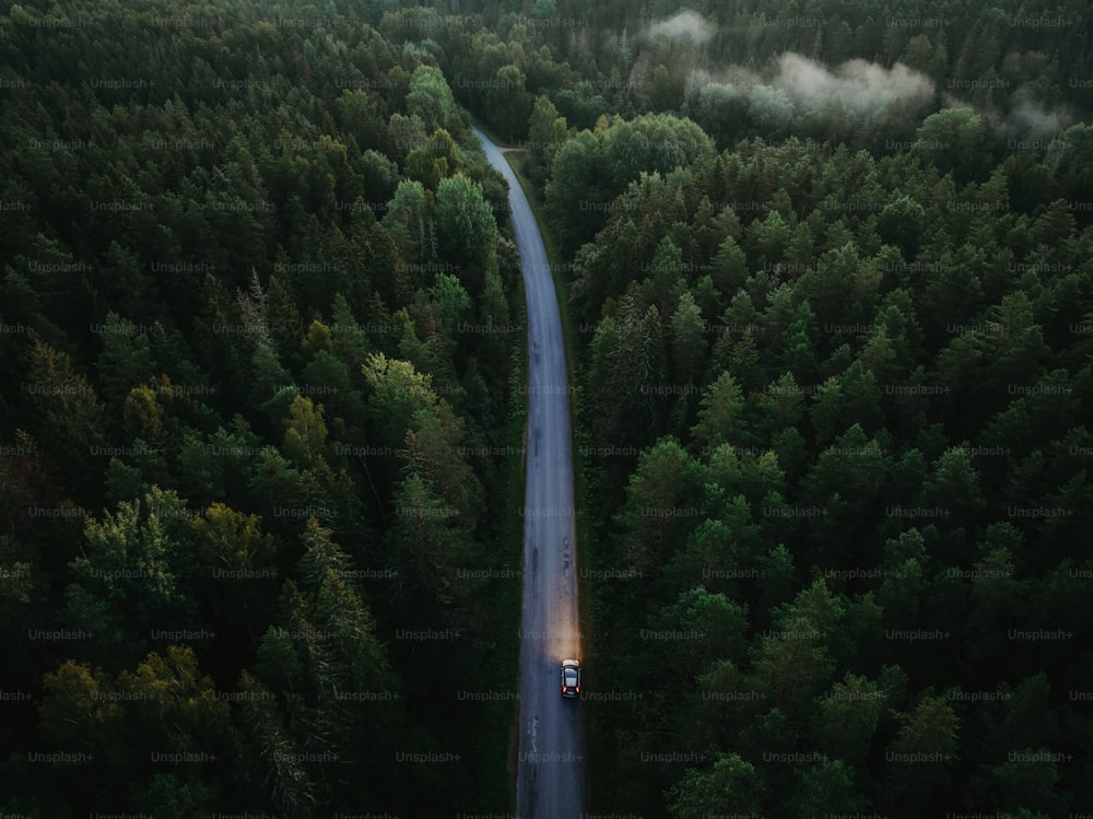 a car driving down a road in the middle of a forest