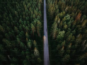 a car driving down a road in the middle of a forest