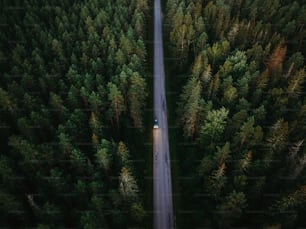 Un'auto che percorre una strada nel mezzo di una foresta