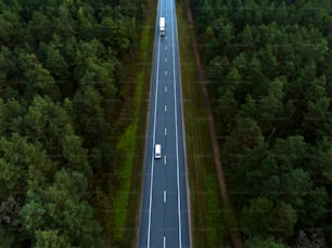 an aerial view of a highway in the middle of a forest