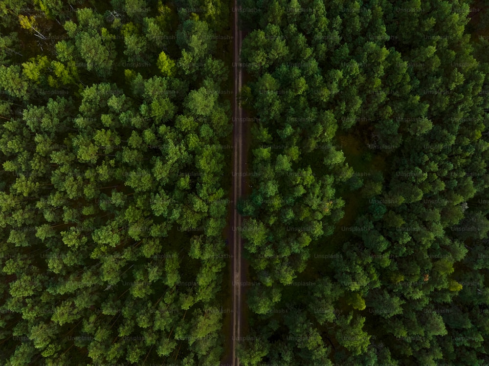 an aerial view of a road in the middle of a forest