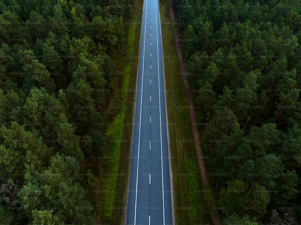 Una vista aérea de una carretera en medio de un bosque