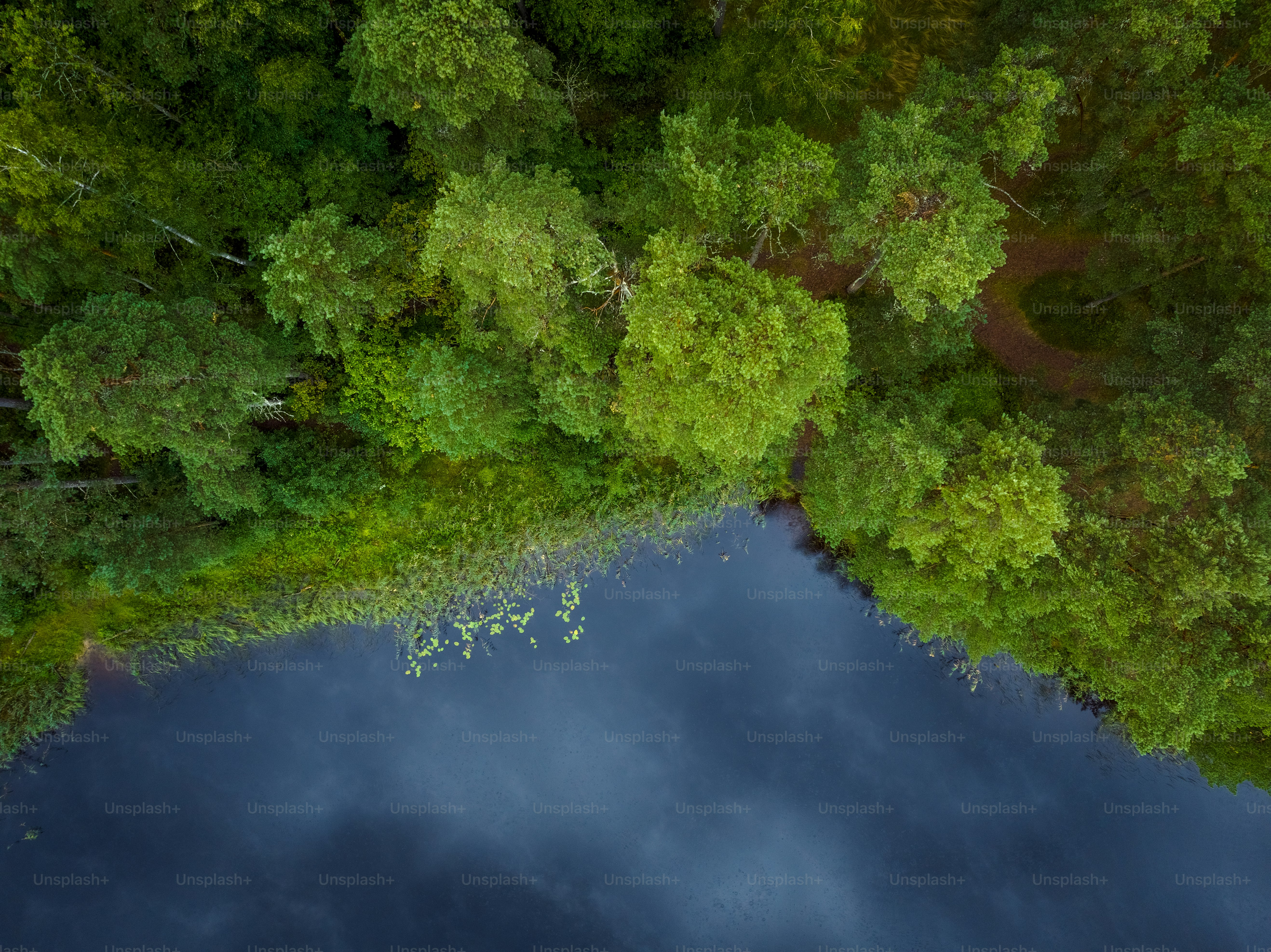 an aerial view of a lake surrounded by trees