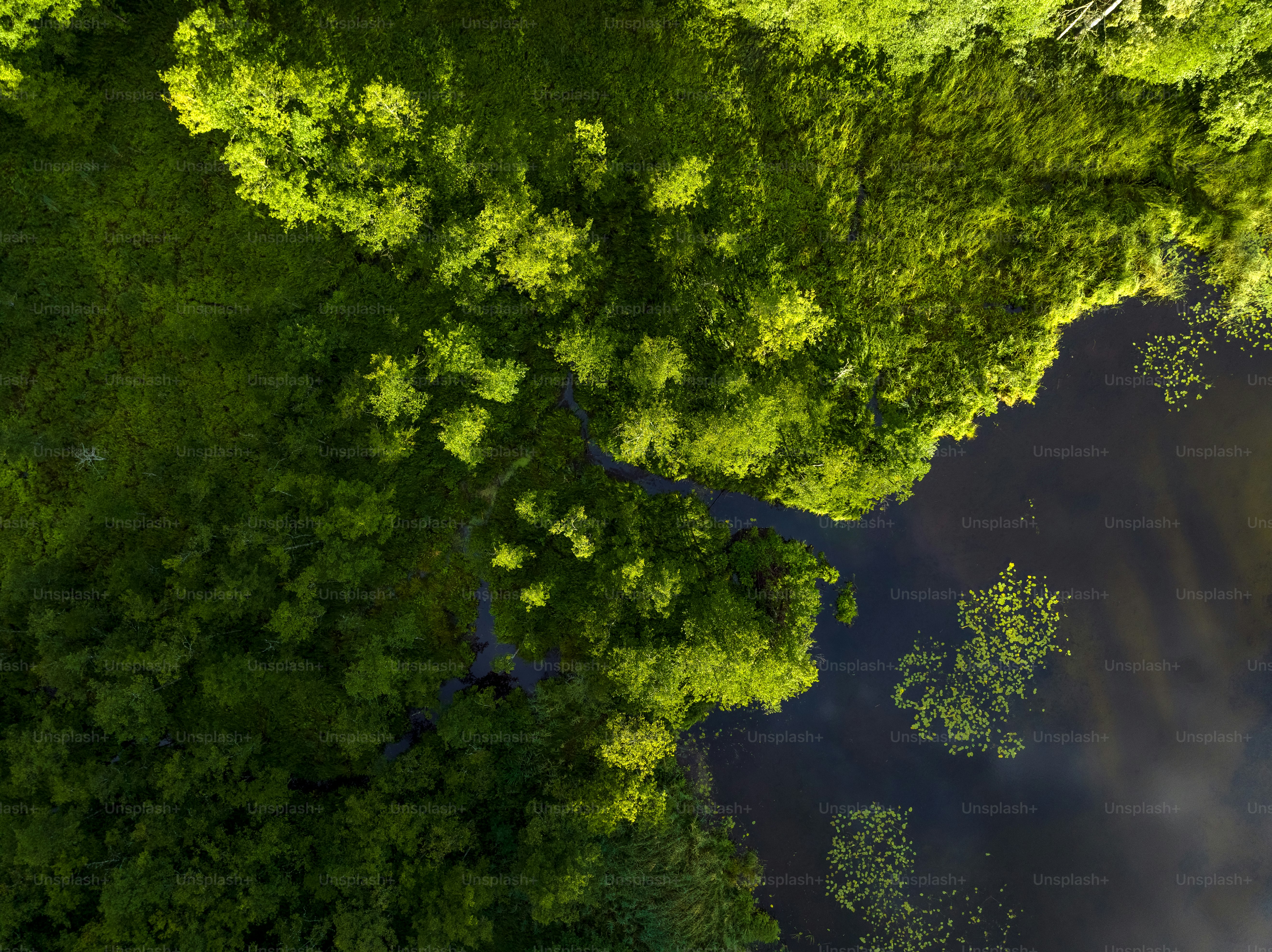 an aerial view of a river surrounded by trees