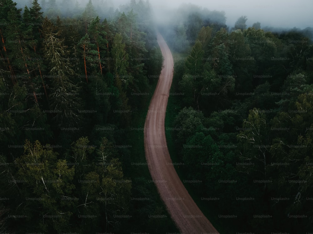 an aerial view of a road in the middle of a forest