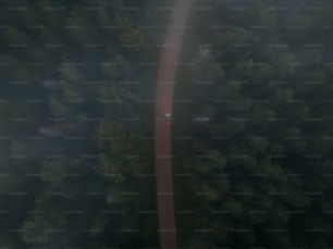 an aerial view of a road in the middle of a forest