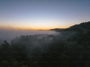 the sun is setting over a foggy forest