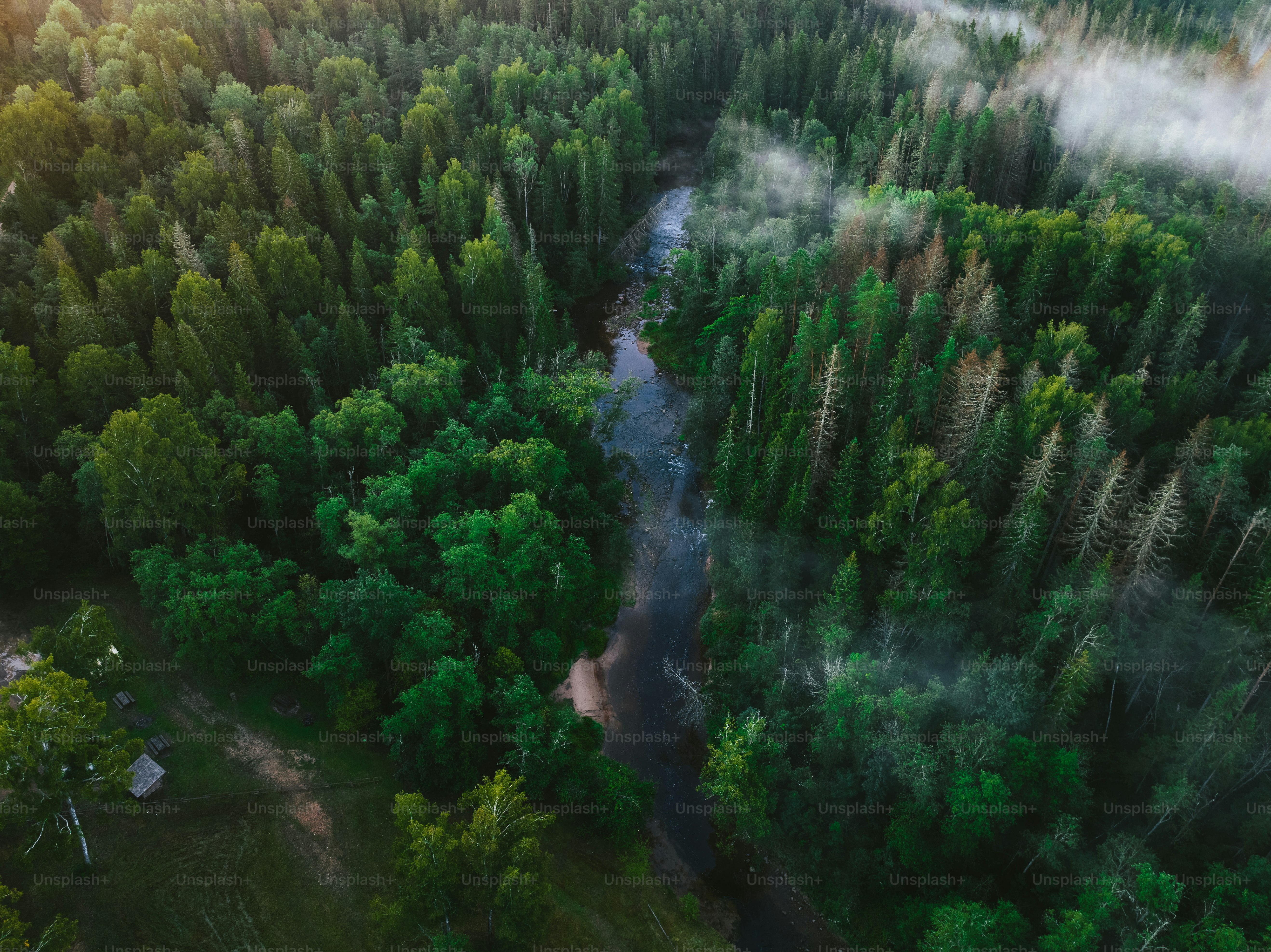 Ein Fluss, der durch einen üppigen grünen Wald fließt